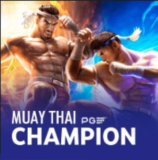 Muay Thai Champion